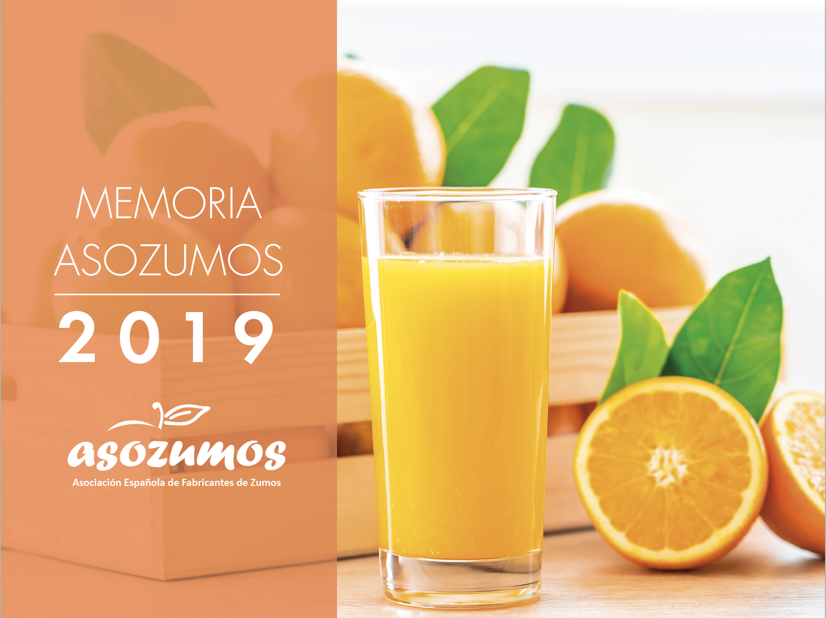 Memoria ASOZUMOS 2019