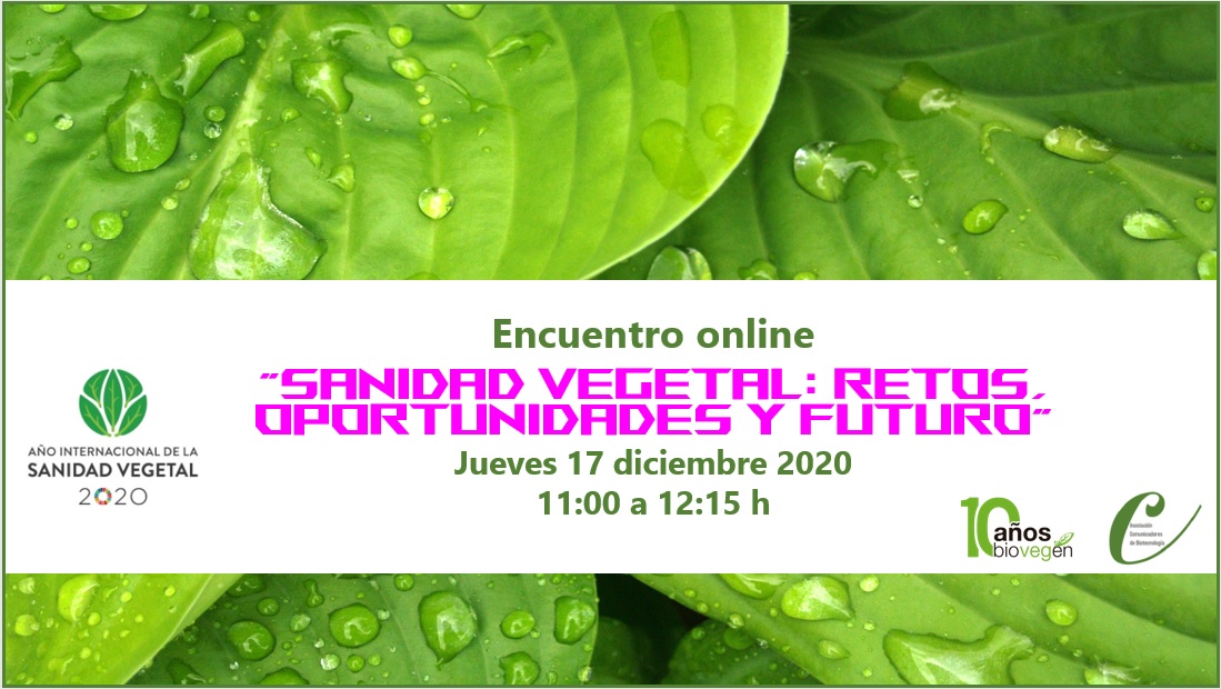Encuentro sanidad vegetal