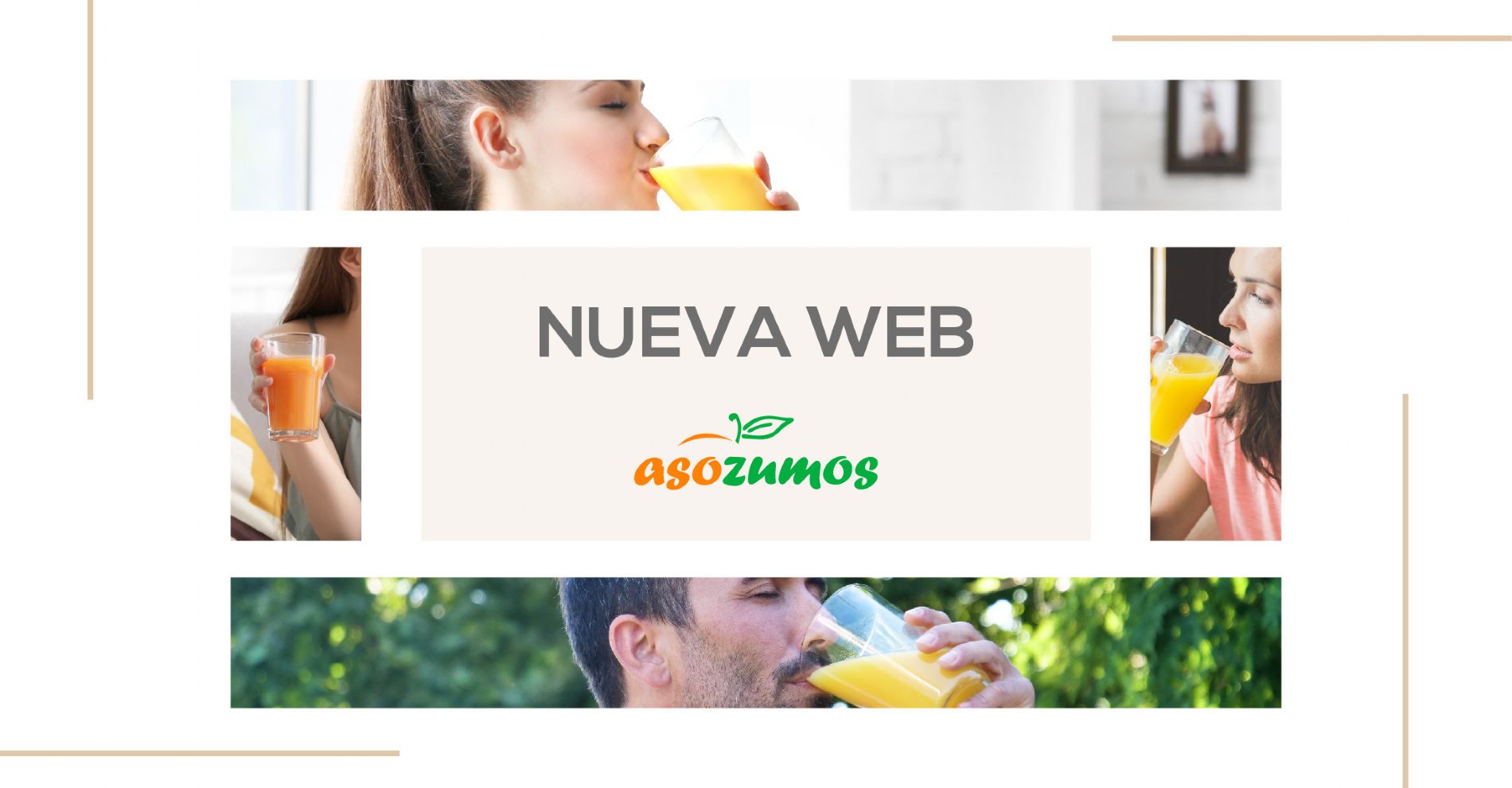 Nueva Web